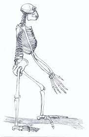 Oldest hominid