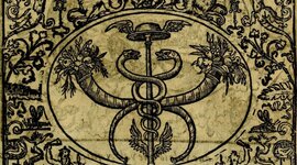 Timeline: Linea de Tiempo Terapias Naturales