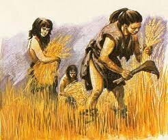 Early humans discovered farming