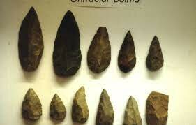 First stone tools found