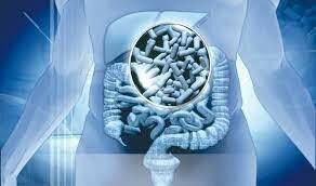 Descifrado por primera vez el metagenoma humano