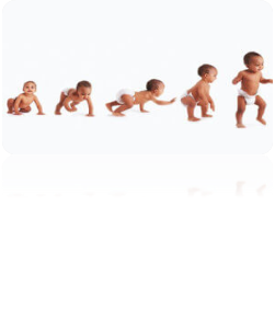 Los 2 Primeros Años de Vida.