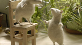 Timeline: осень