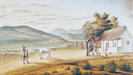 LAS HACIENDAS