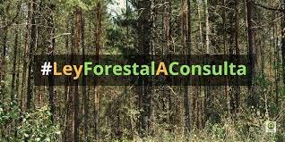 Ley Forestal Nacional
