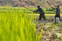 Se crea el departamento de conservación de los suelos