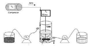 1° fermentador aeróbico