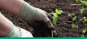 Ley de Desarrollo Rural Sustentable