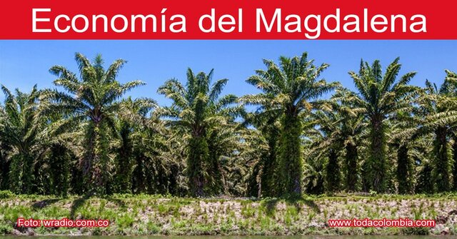 MAGDALENA COMO EJE ECONÓMICO