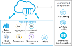 Base de Datos orientada a Objetos