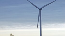 Timeline: El Genesis de la Sustentabilidad