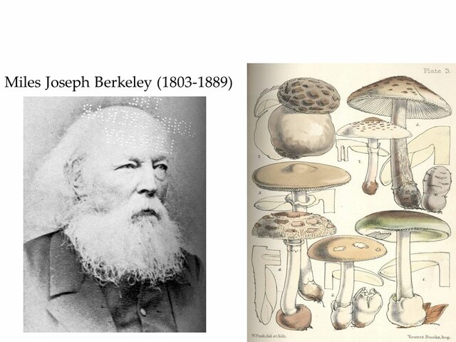 Miles Joseph Berkely