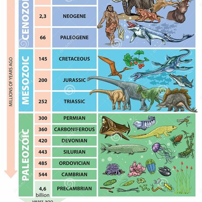 Timeline: Geokronoloogiline skaala Pille-Riin BK