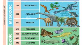 Timeline: Geokronoloogiline skaala Pille-Riin BK