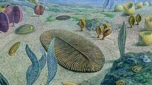 Proterosoikum ehk agueoon