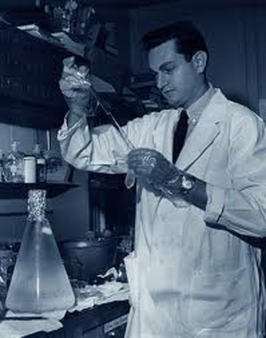 Experiments take place creating Halfmen