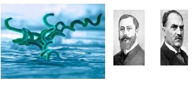 Fritz Schaudinn y Erich Hoffmann