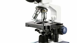 Timeline: Historia del Microscopio by Héctor Obledo