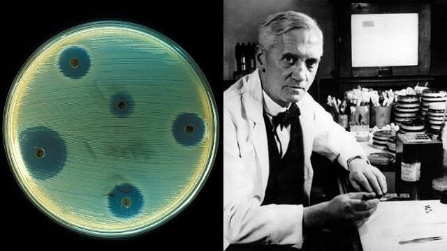 Alexander Fleming