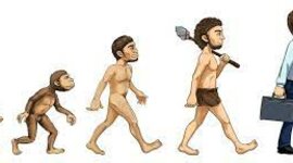 Timeline: La evolución del hombre