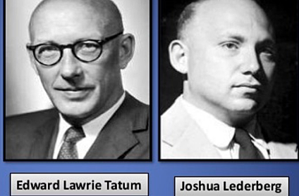 Joshua Lederberg y Edwar Lawrle Tatum