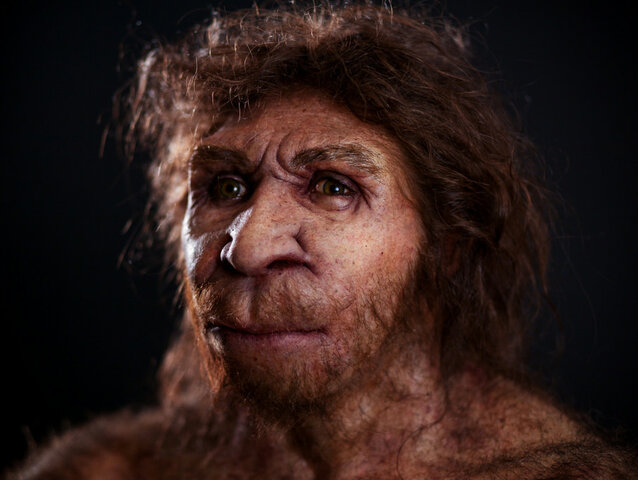 HOMO HEIDELBERGENSIS