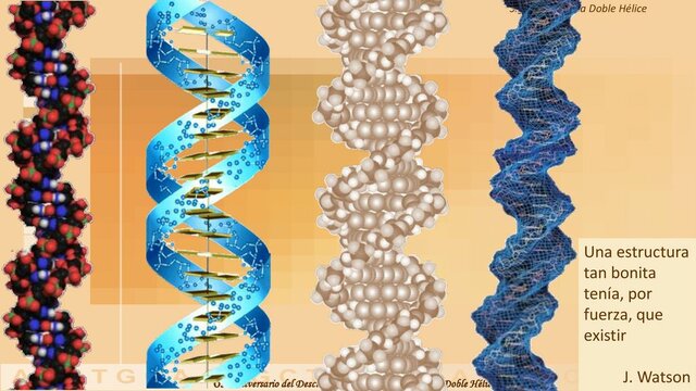 James D. Watson y Francis Crick