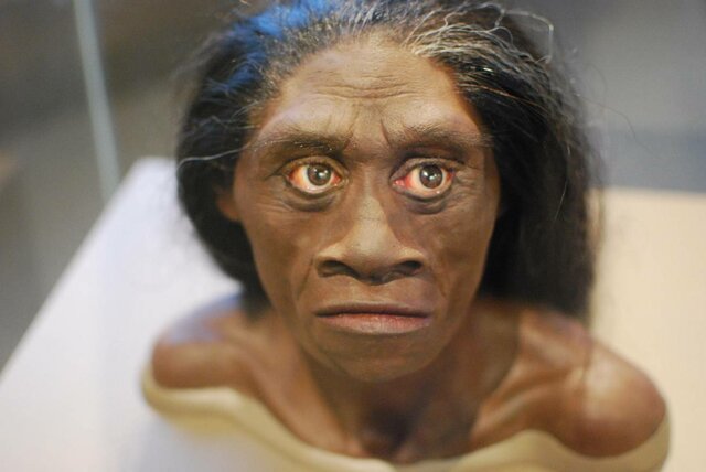 HOMO FLORESIENSIS