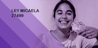 Ley Micaela