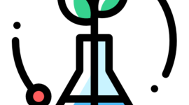 Timeline: ACTIVIDAD 1 - TSDB 1