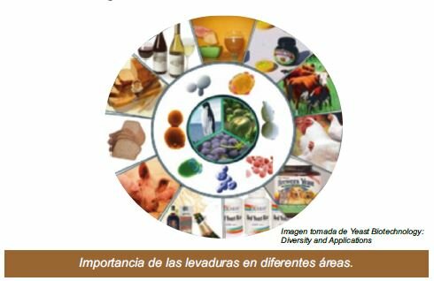 Lista de cultivos microbianos alimentarios