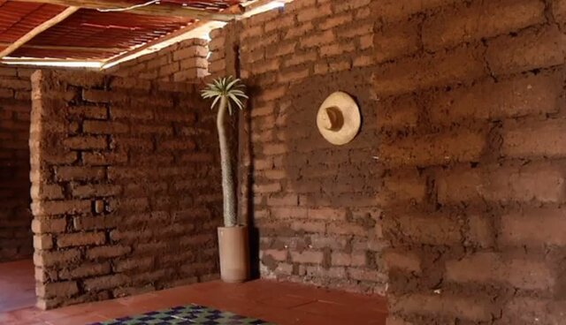 Ladrillos de Sargazo