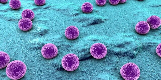 Clements y Bullivant