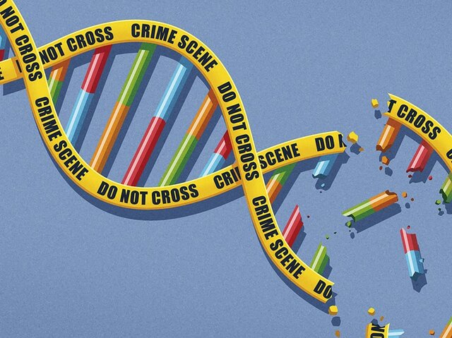 First Use of DNA in a crime