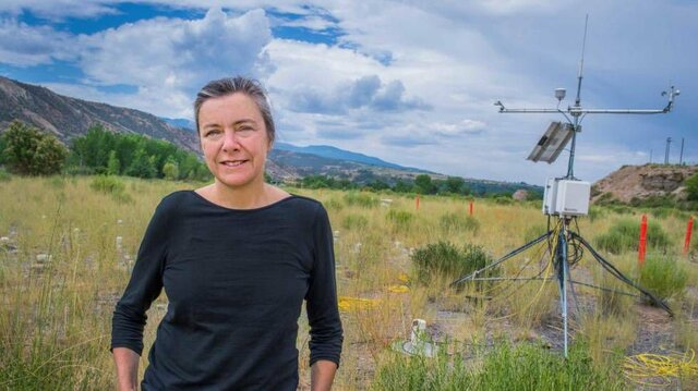 equipo de investigadores —liderado por la microbióloga Jill Banfield