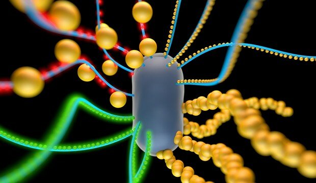 doctor J. Craig Venter