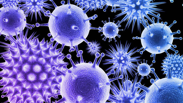 investigadores del Centro Nacional de Biotecnología del CSIC (CNB-CSIC)