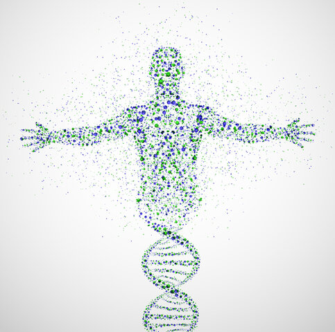 Instituto de Investigación Médica Sanford- Burnham y del Instituto Koltsov de Moscú