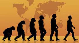 Timeline: Evolucion humana