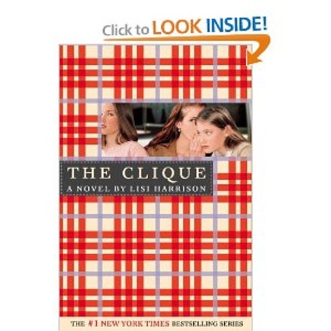 Lisi harrison started writing the clique series