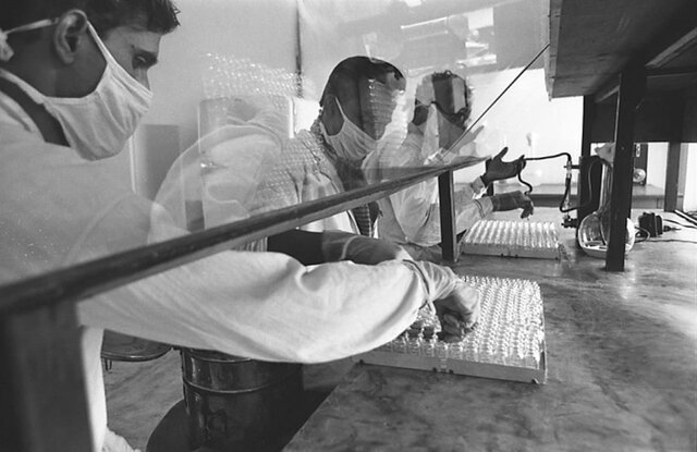 Stocks of Variola Virus