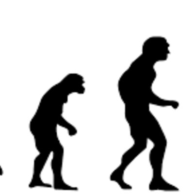 Timeline: Aportaciones a la Teoría Sintética de la Evolución