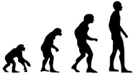 Timeline: Aportaciones a la Teoría Sintética de la Evolución