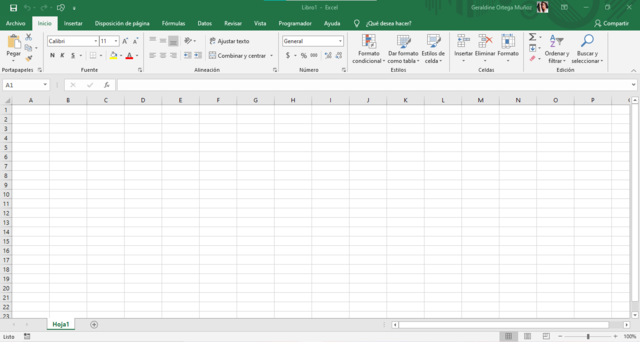 Excel 2019