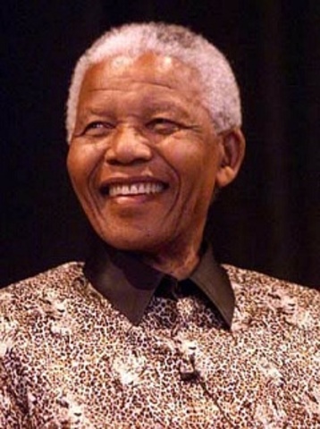 Nleson Mandela Succeses and Failures