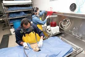 Solución para rehidratar los cadáveres