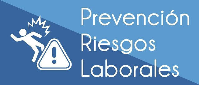 DECRETO 1295 DE 1994