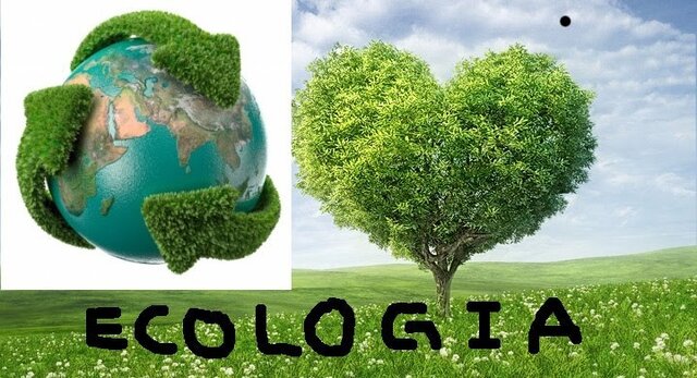 Ecología