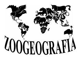Zoogeografía