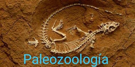 Paleozoología.